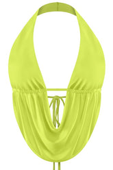 High Voltage Halter