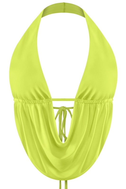 High Voltage Halter