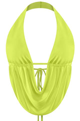 High Voltage Halter
